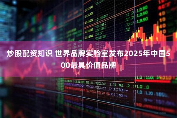 炒股配资知识 世界品牌实验室发布2025年中国500最具价值品牌