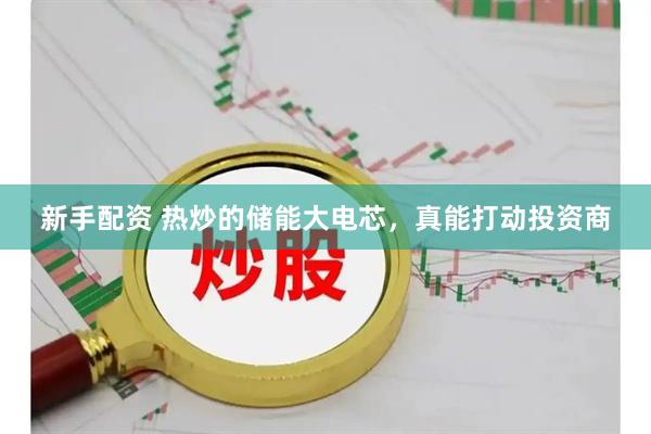 新手配资 热炒的储能大电芯，真能打动投资商