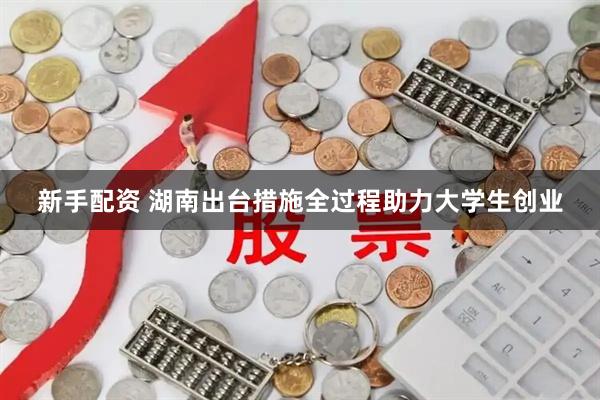 新手配资 湖南出台措施全过程助力大学生创业