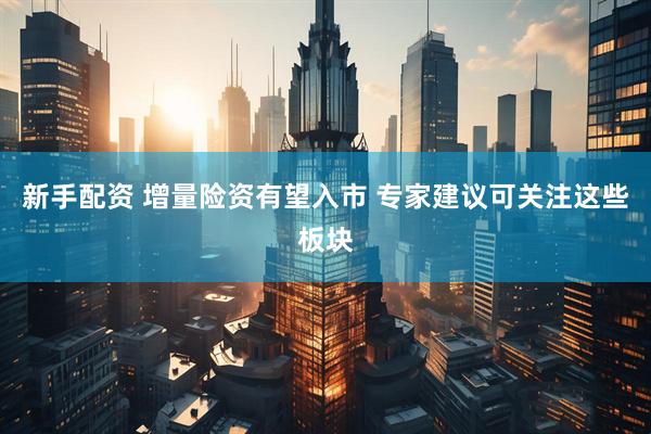 新手配资 增量险资有望入市 专家建议可关注这些板块